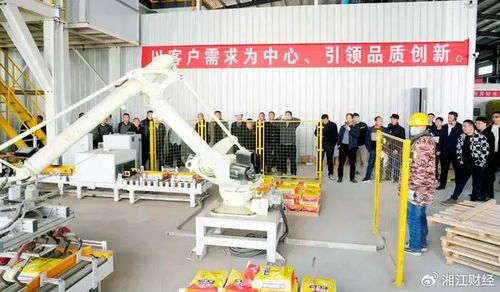 環保砂漿更靠譜 平江首屆 貼磚大師 技術交流會召開